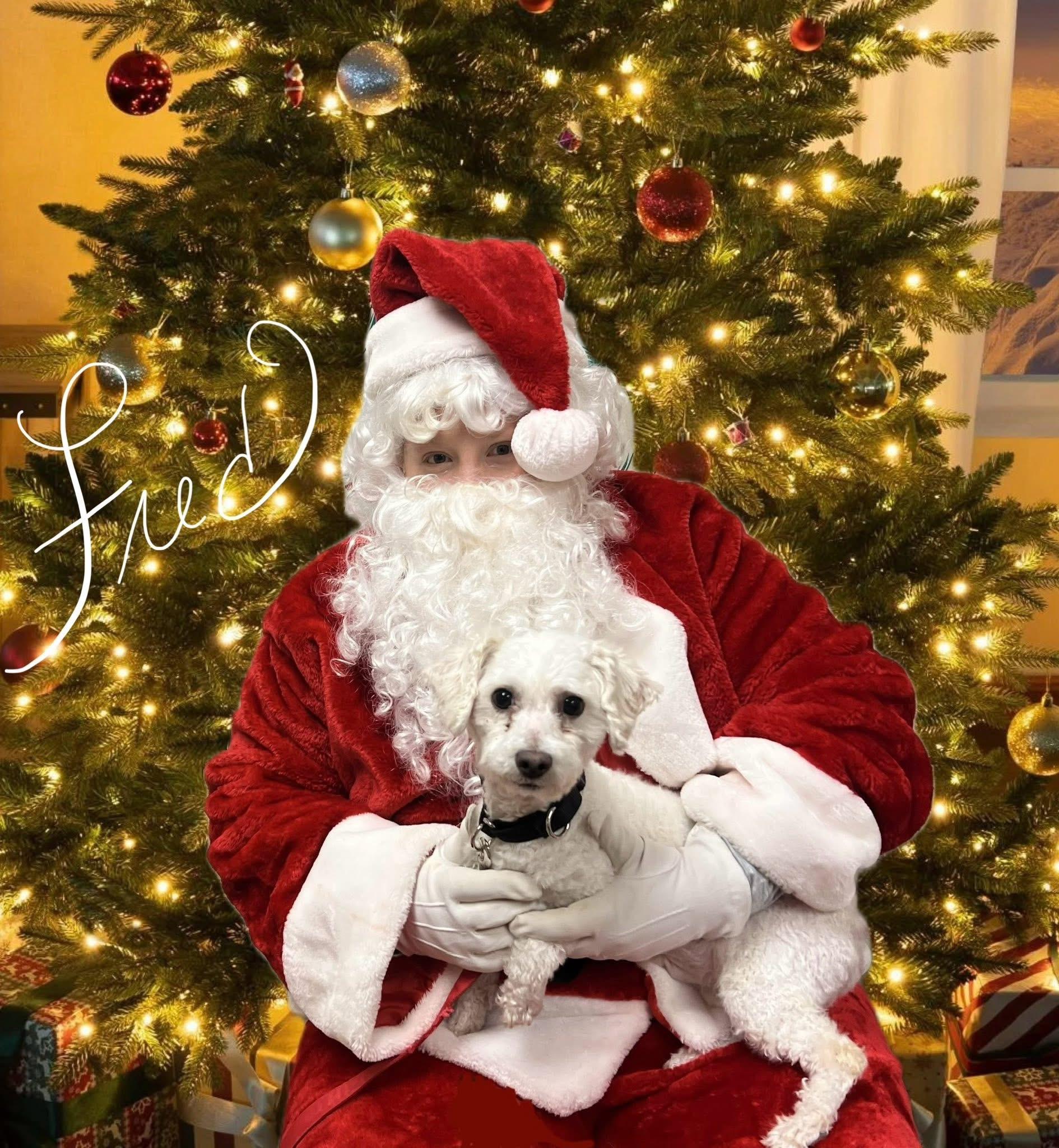 Enlarge Fred, an adopted mixed breed in Montville, NJ image 1/1