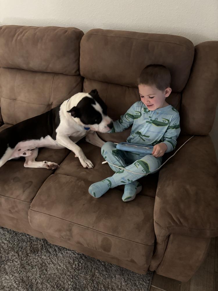 Enlarge Koda aka Goose, a Adoptable mixed breed in Cortez, CO image 4/6