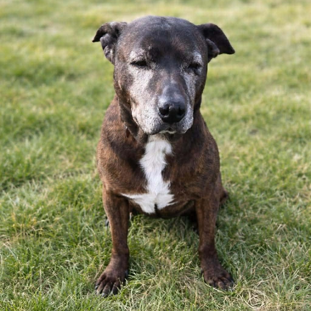 Reece — thumbnail 2