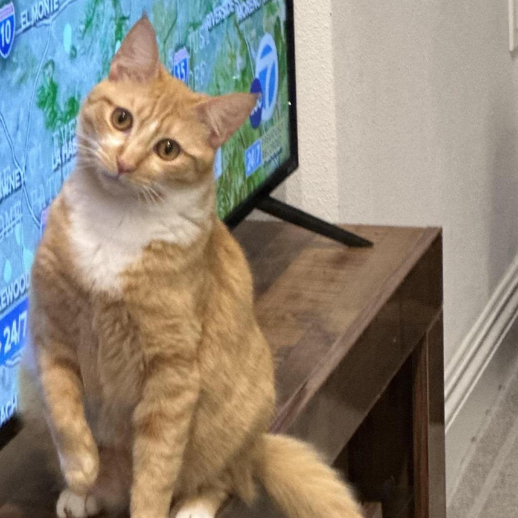 Fanta — thumbnail 3