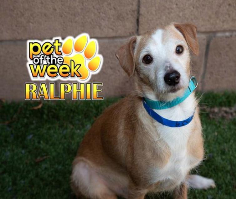 SAVE ME PLEASE! RALPHIE #A543759