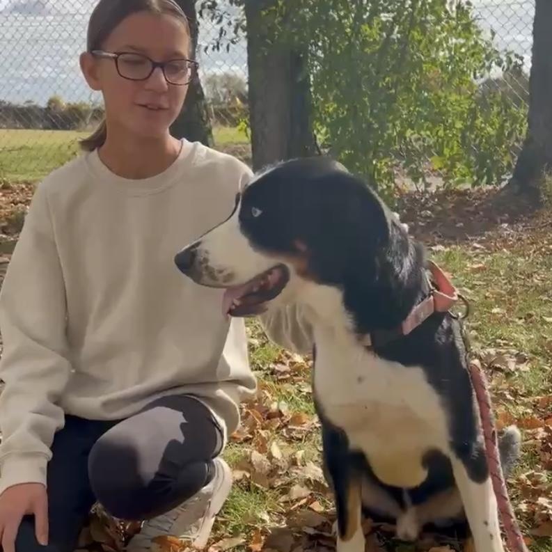 Enlarge Conway, an adoptable mixed breed in Elyria, OH image 2/6