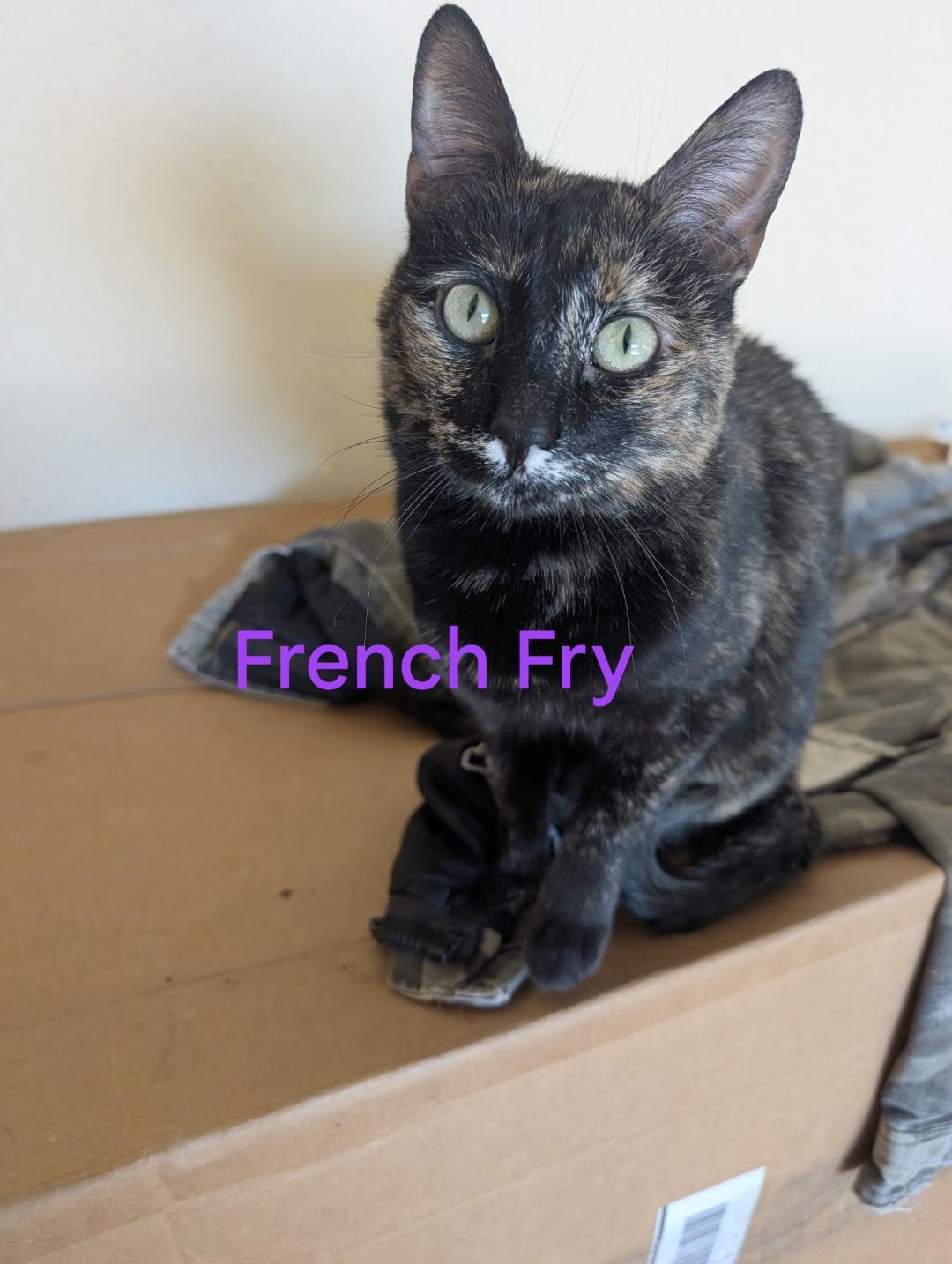 French Fry thumbnail 2