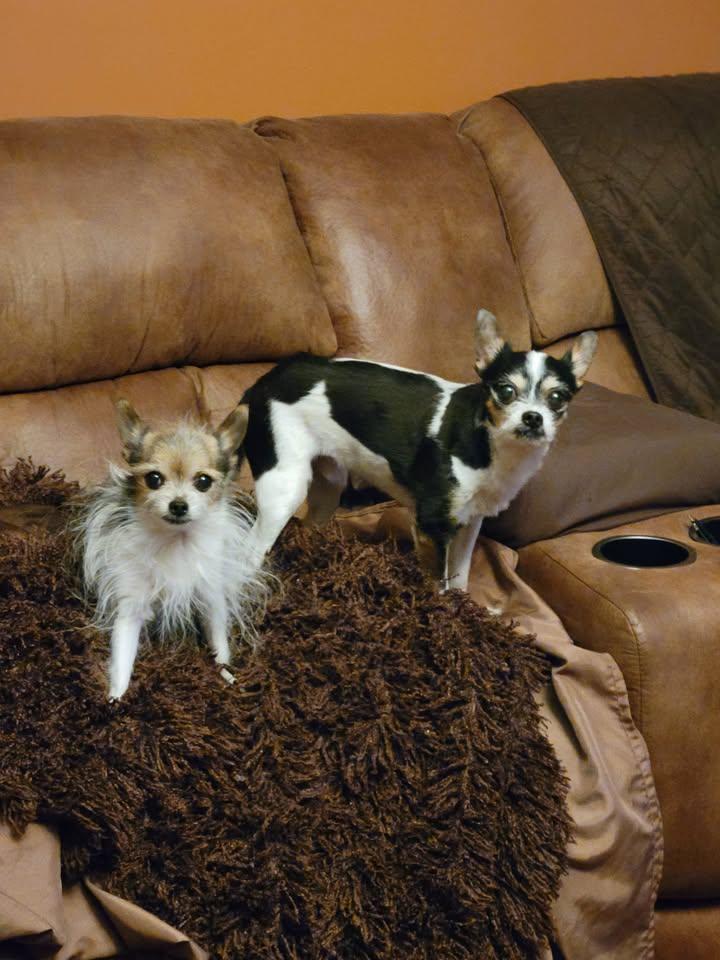 Luke and Lilly