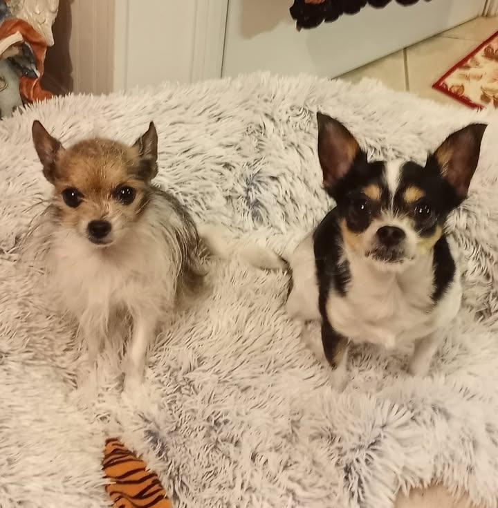 Luke and Lilly