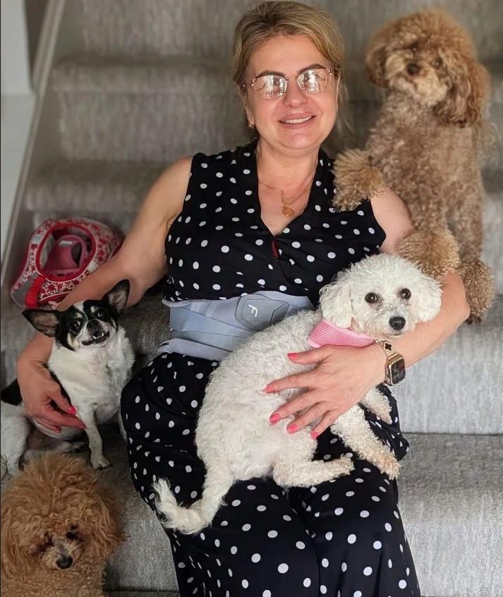 Sugar, Adopted, Senior Female Miniature Poodle.