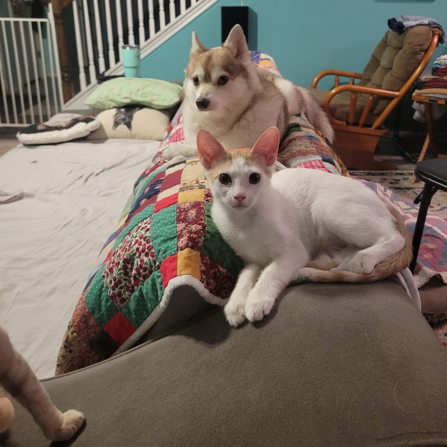 Carlton & Will (bonded brothers)