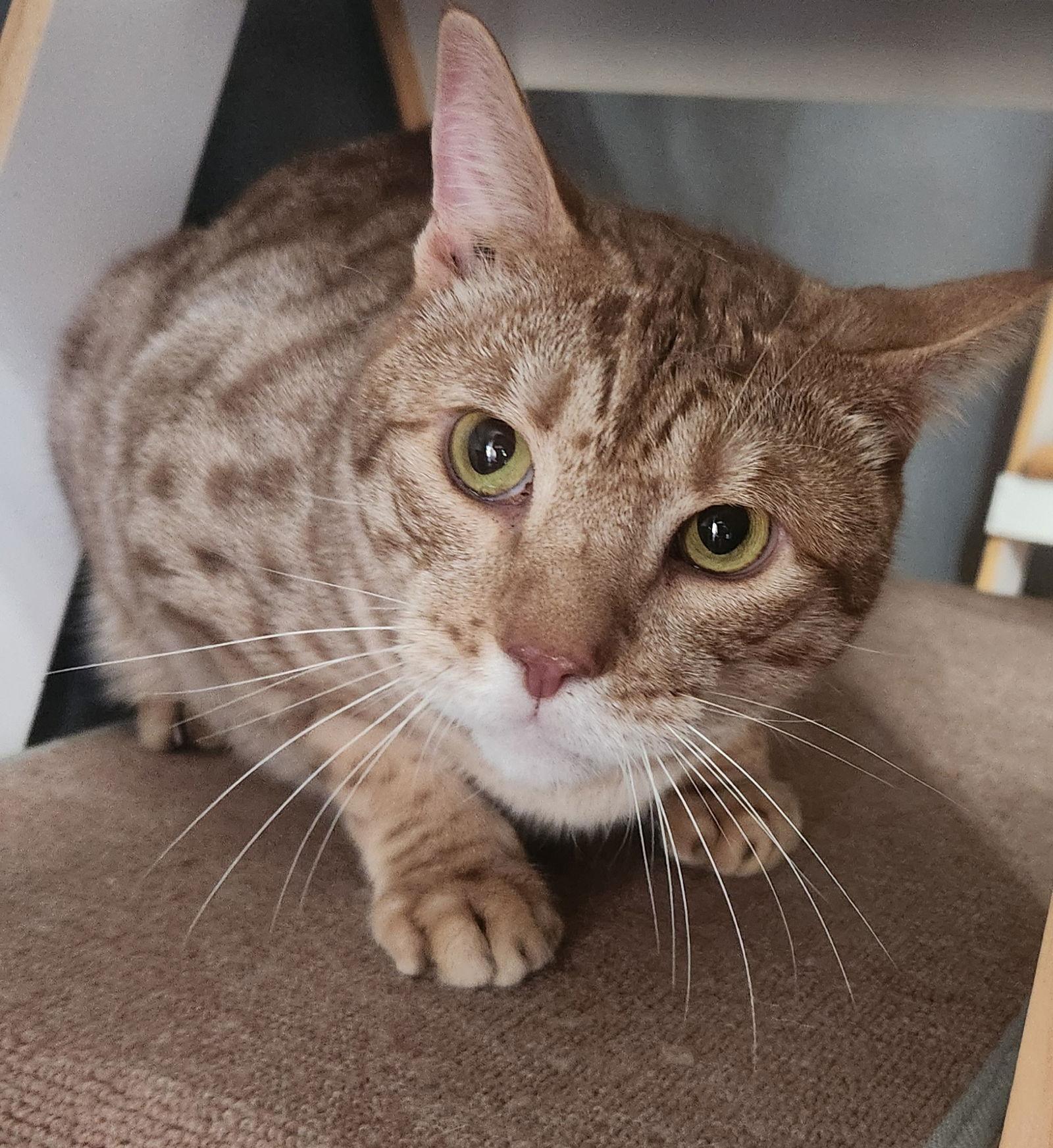 Skywalker thumbnail 3