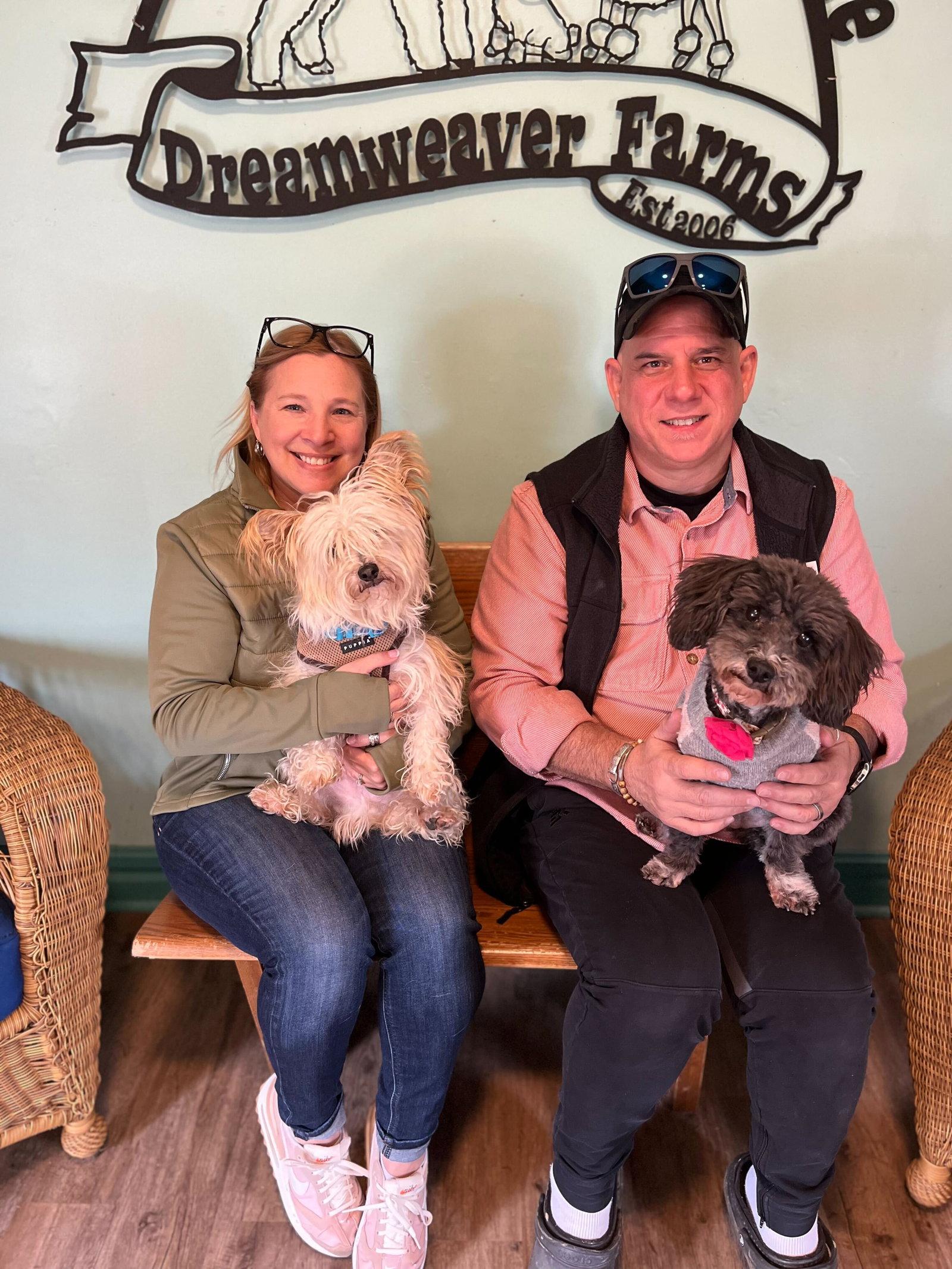 Enlarge Daylen Nov 22, a Adopted Yorkshire Terrier in Pacolet, SC image 2/3