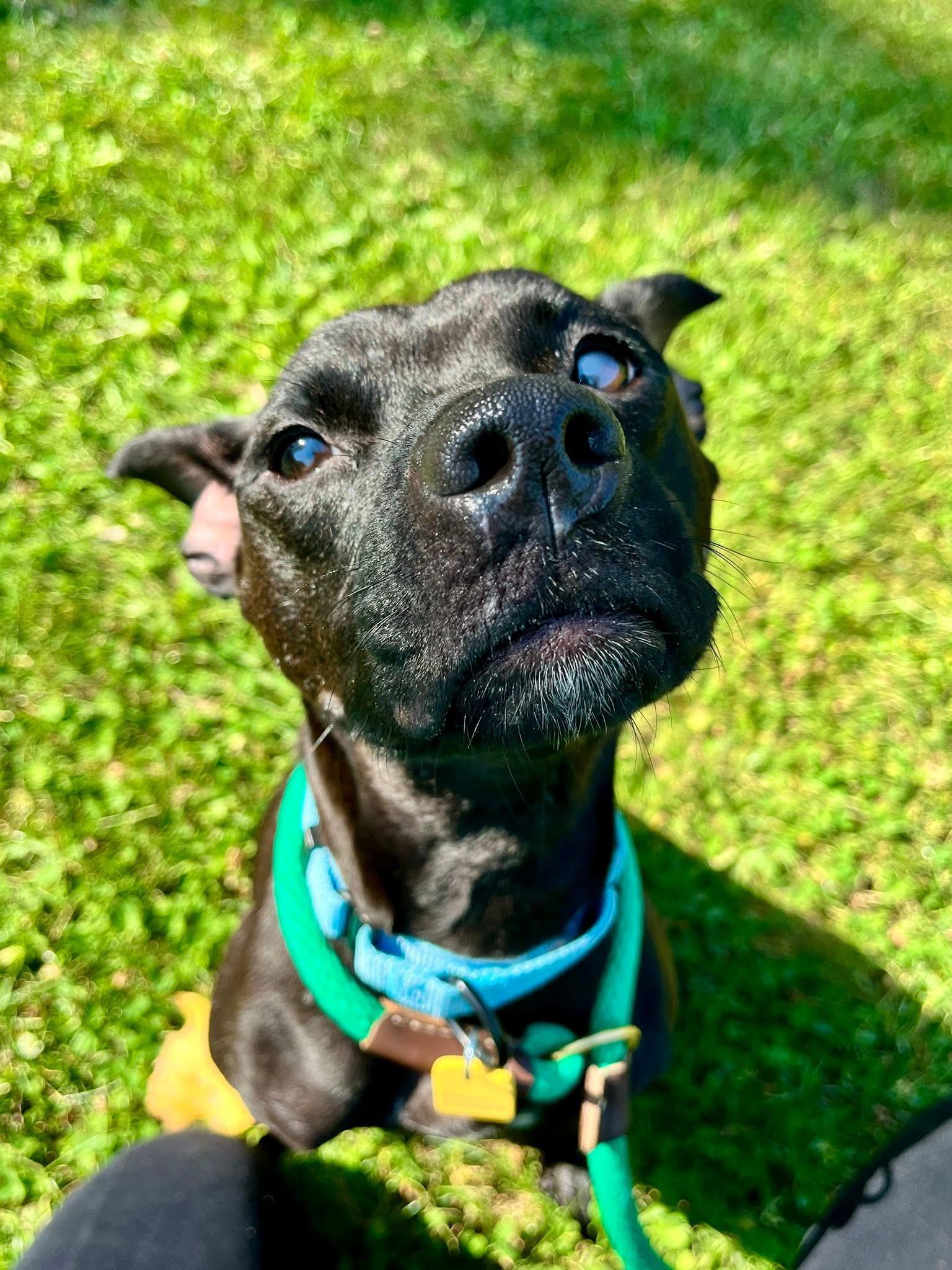 Cosmo