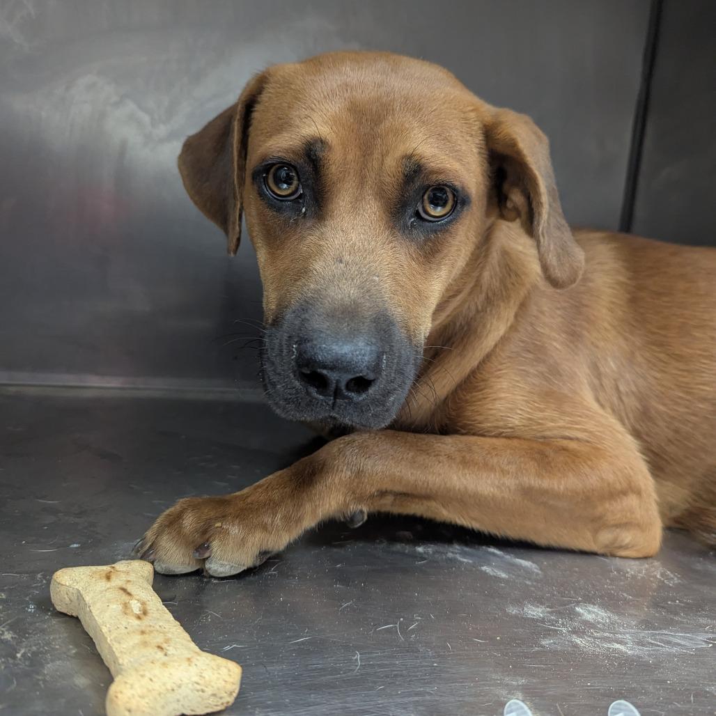 Linda Hw thumbnail 2