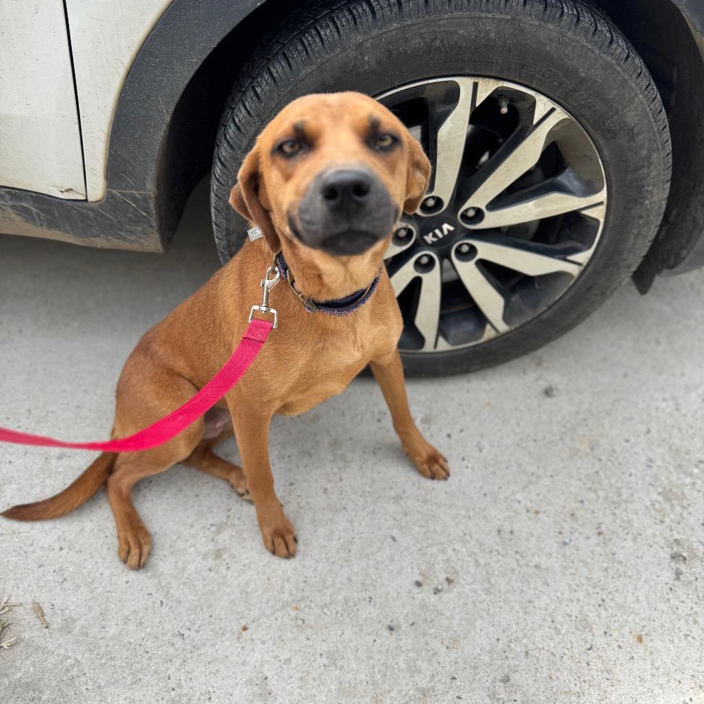 Linda Hw thumbnail 3