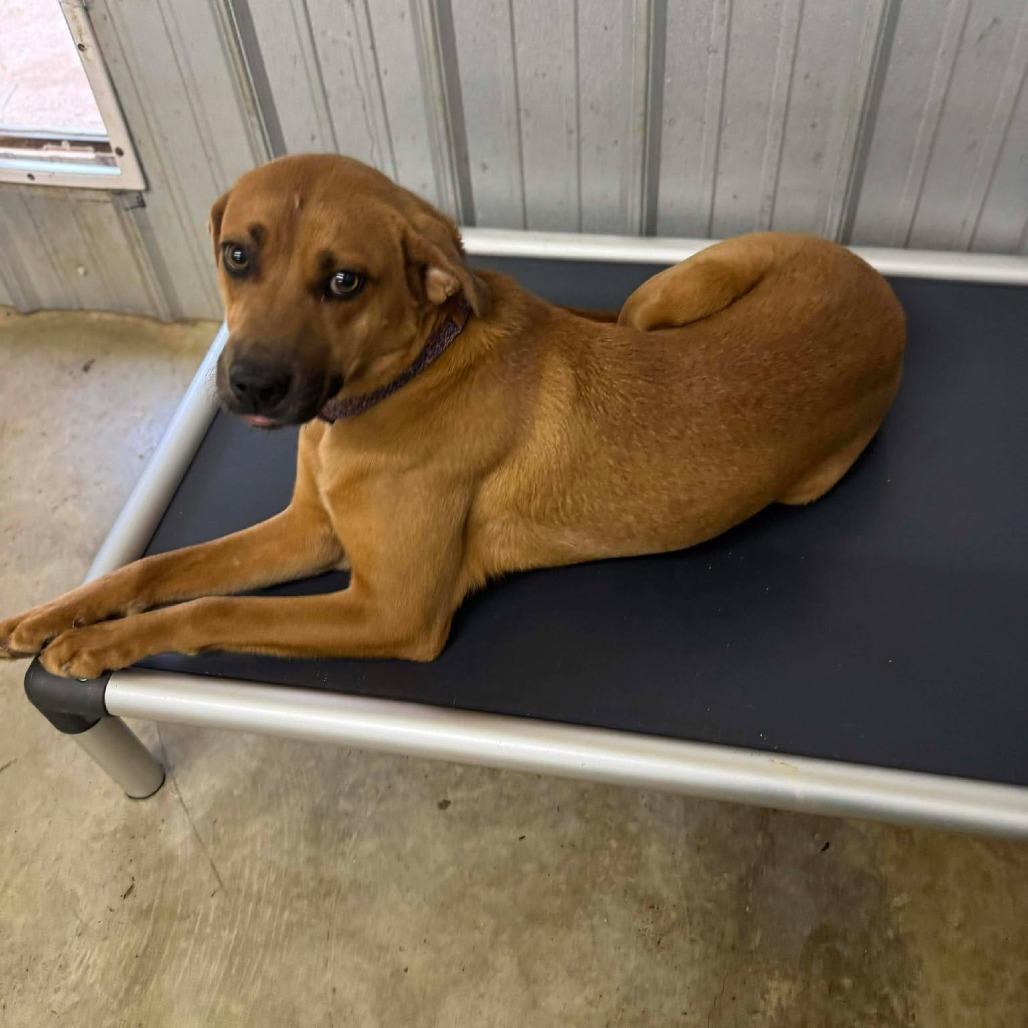 Linda Hw thumbnail 4