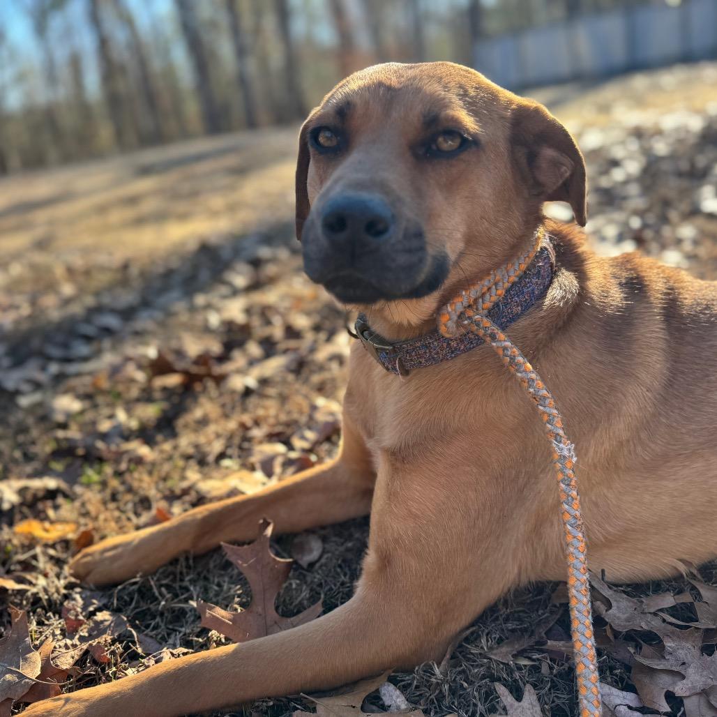 Linda Hw thumbnail 5