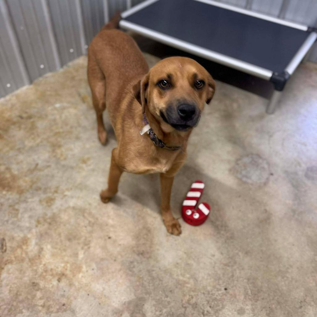 Linda Hw thumbnail 6