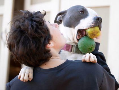 Smurf (in foster) — thumbnail 2