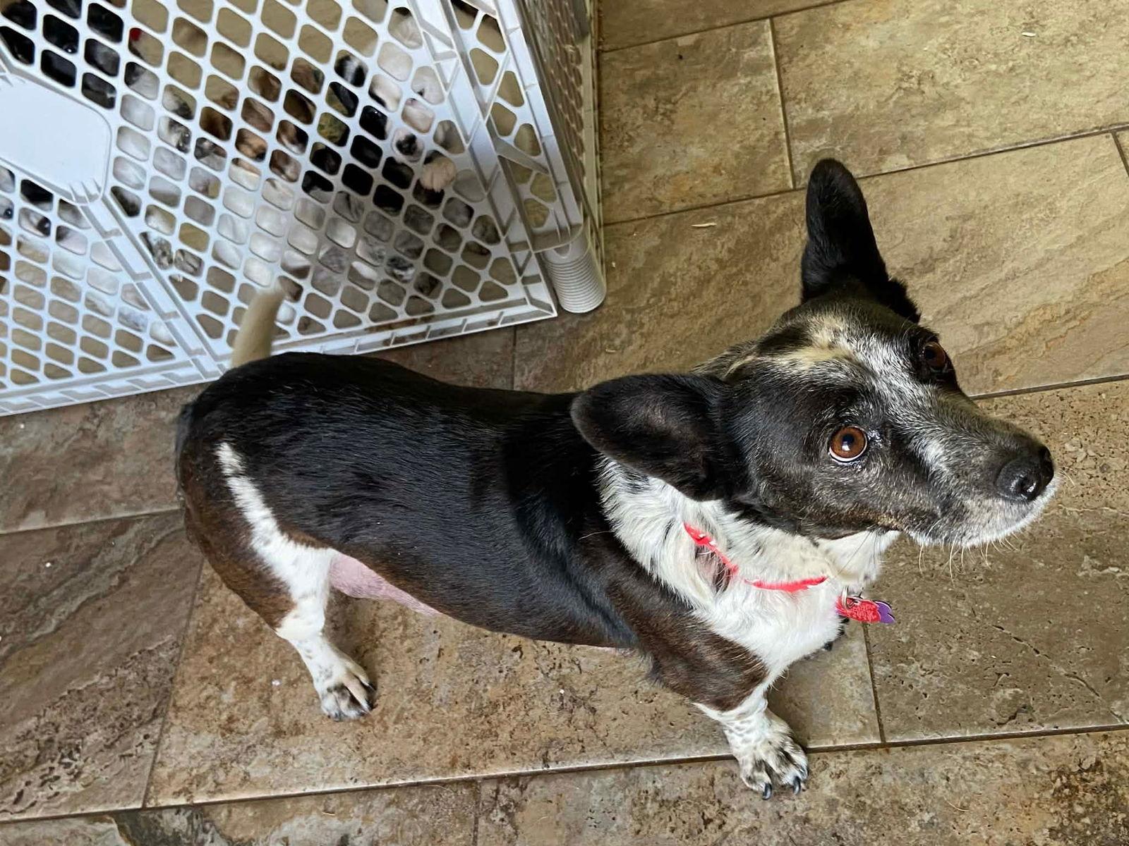 Girly Girl thumbnail 3