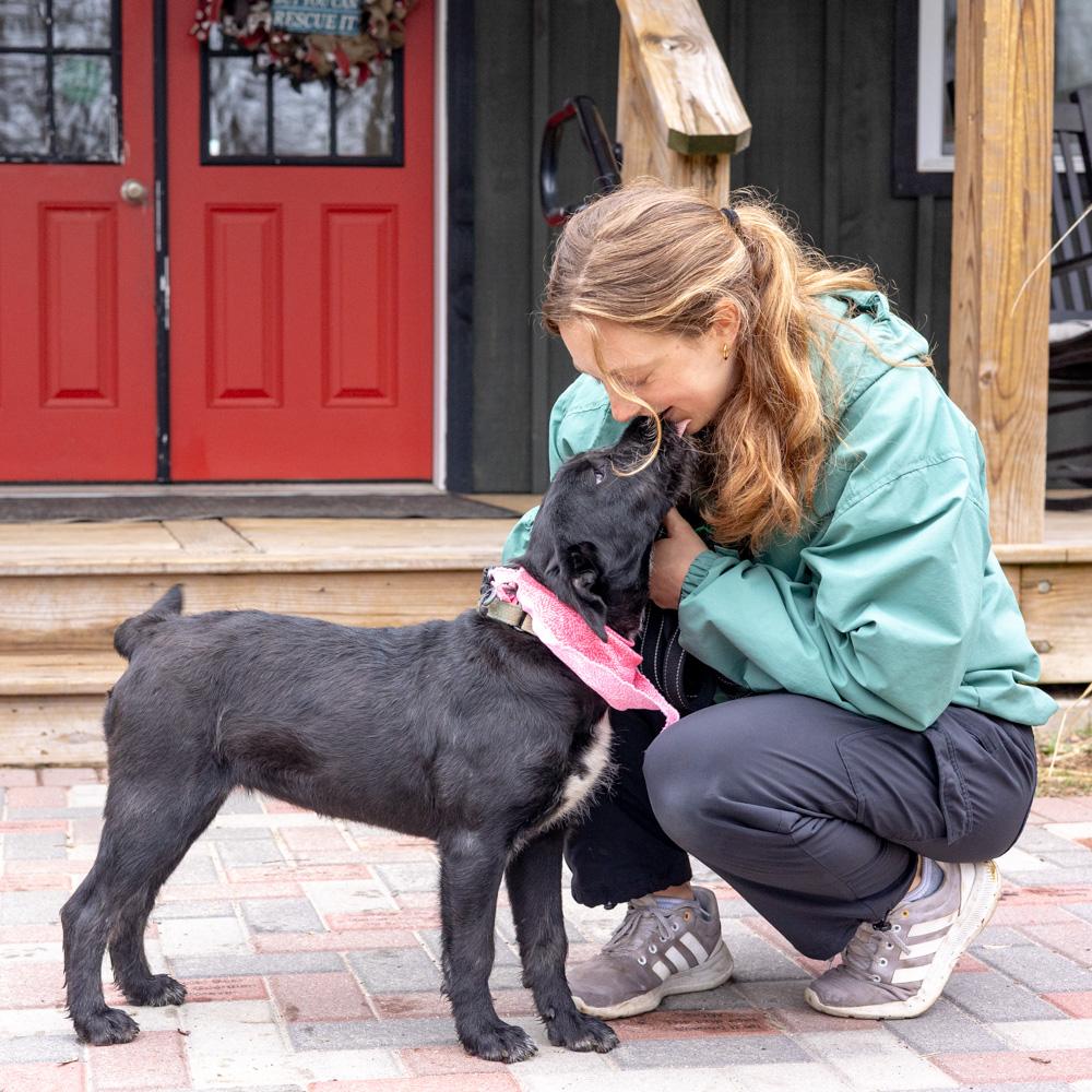 Enlarge Sprout  (Female)    , a Adoptable mixed breed in West Grove, PA image 4/6
