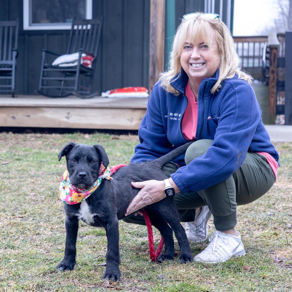 Sprout (Female) , a Adoptable mixed breed in West Grove, PA image 3/5
