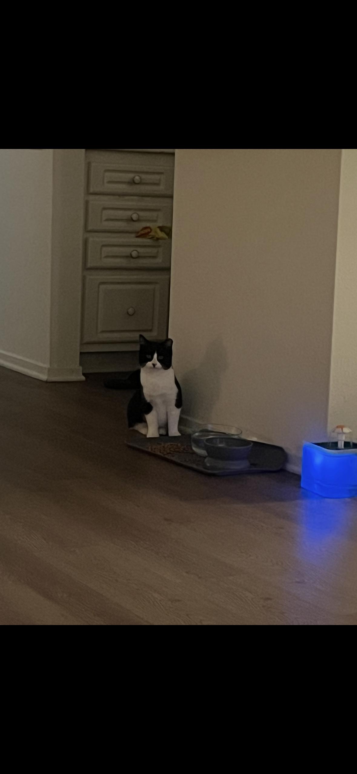 Jack — thumbnail 4