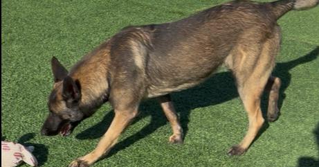 Jax Located In Ca thumbnail 2