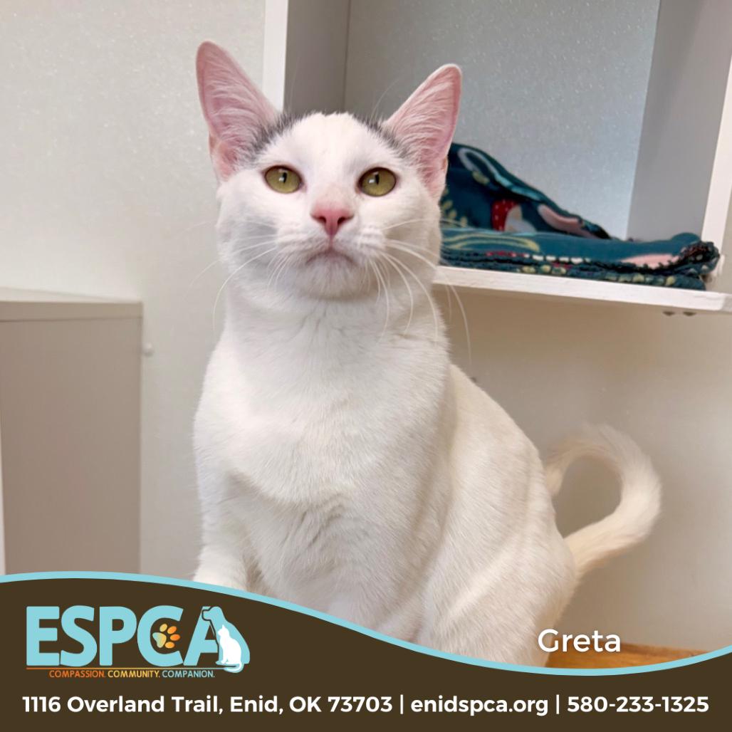 Greta — thumbnail 3