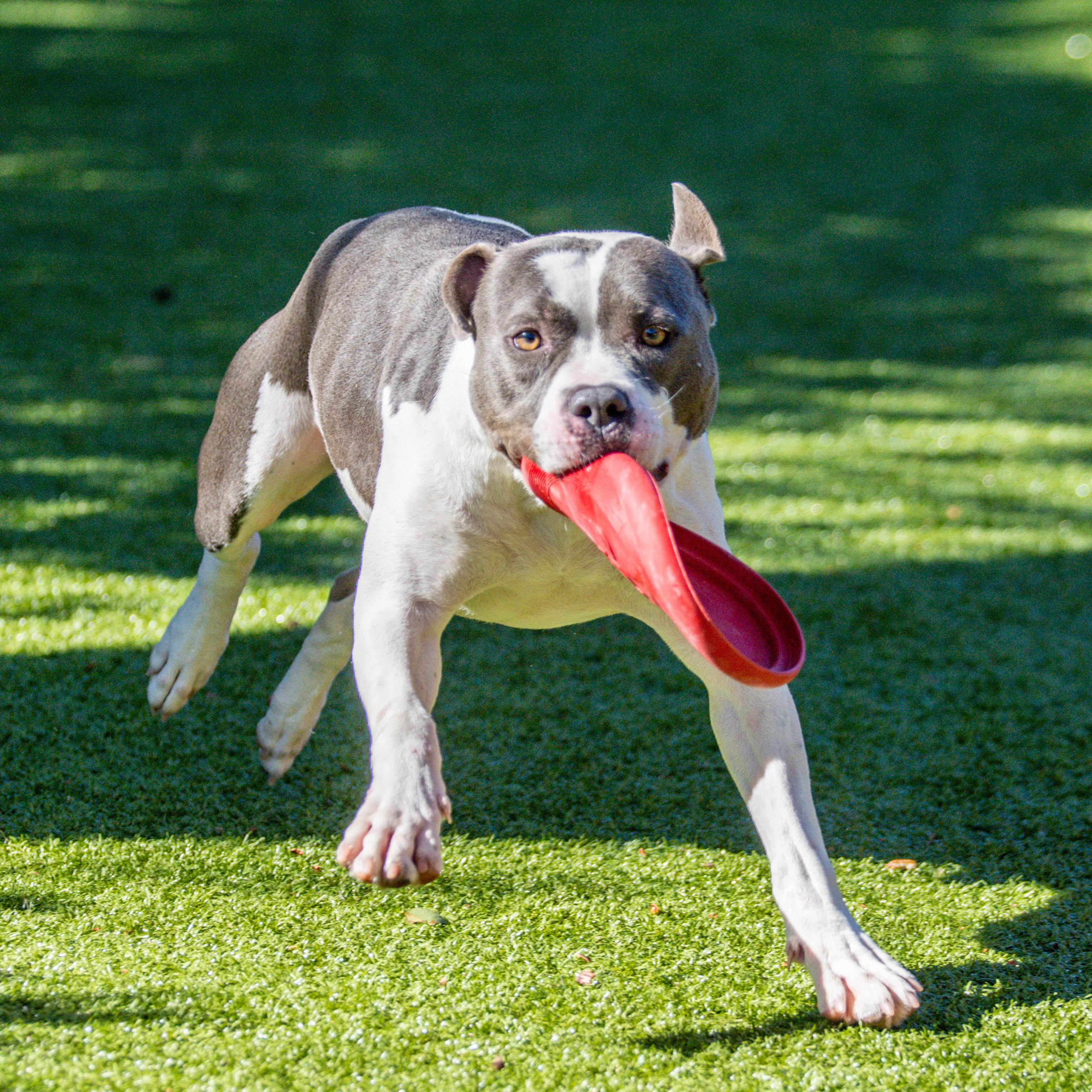 Elias — thumbnail 3