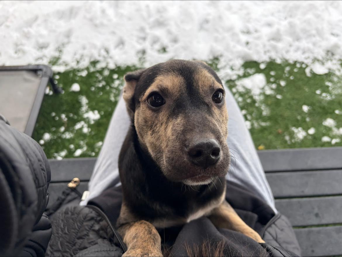 Blizzard thumbnail 2