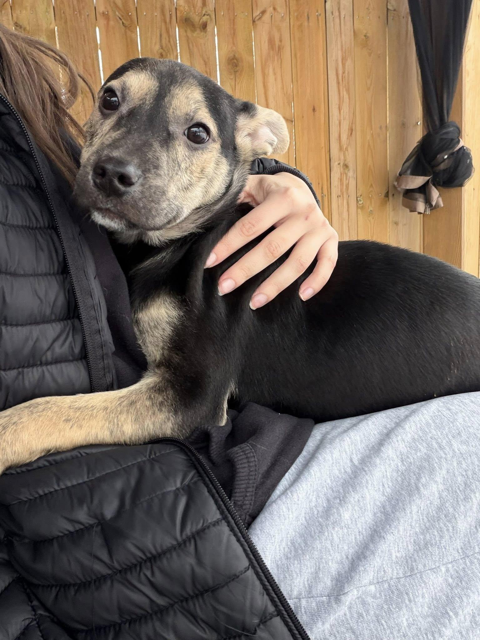 Blizzard thumbnail 4