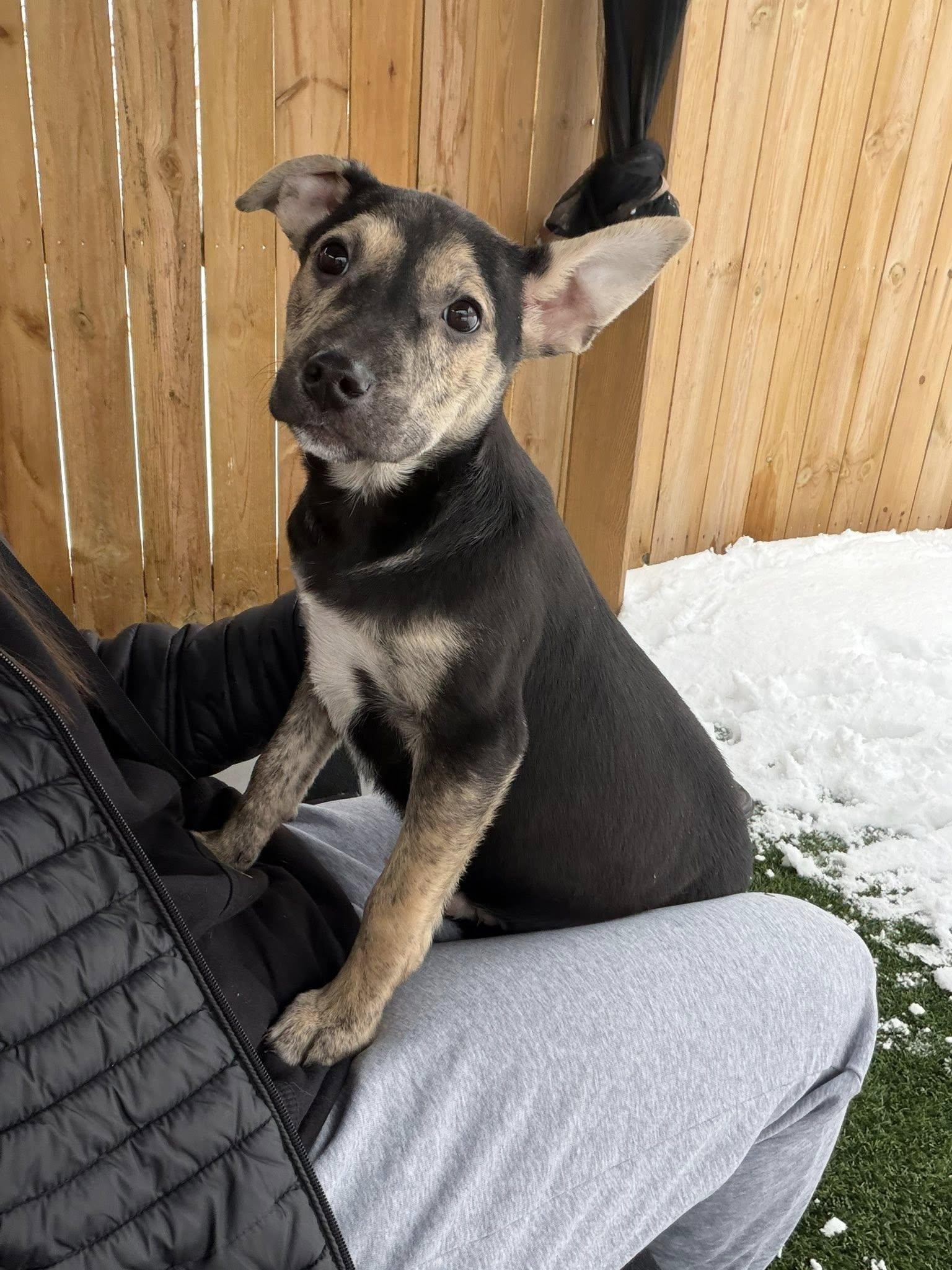 Blizzard thumbnail 5