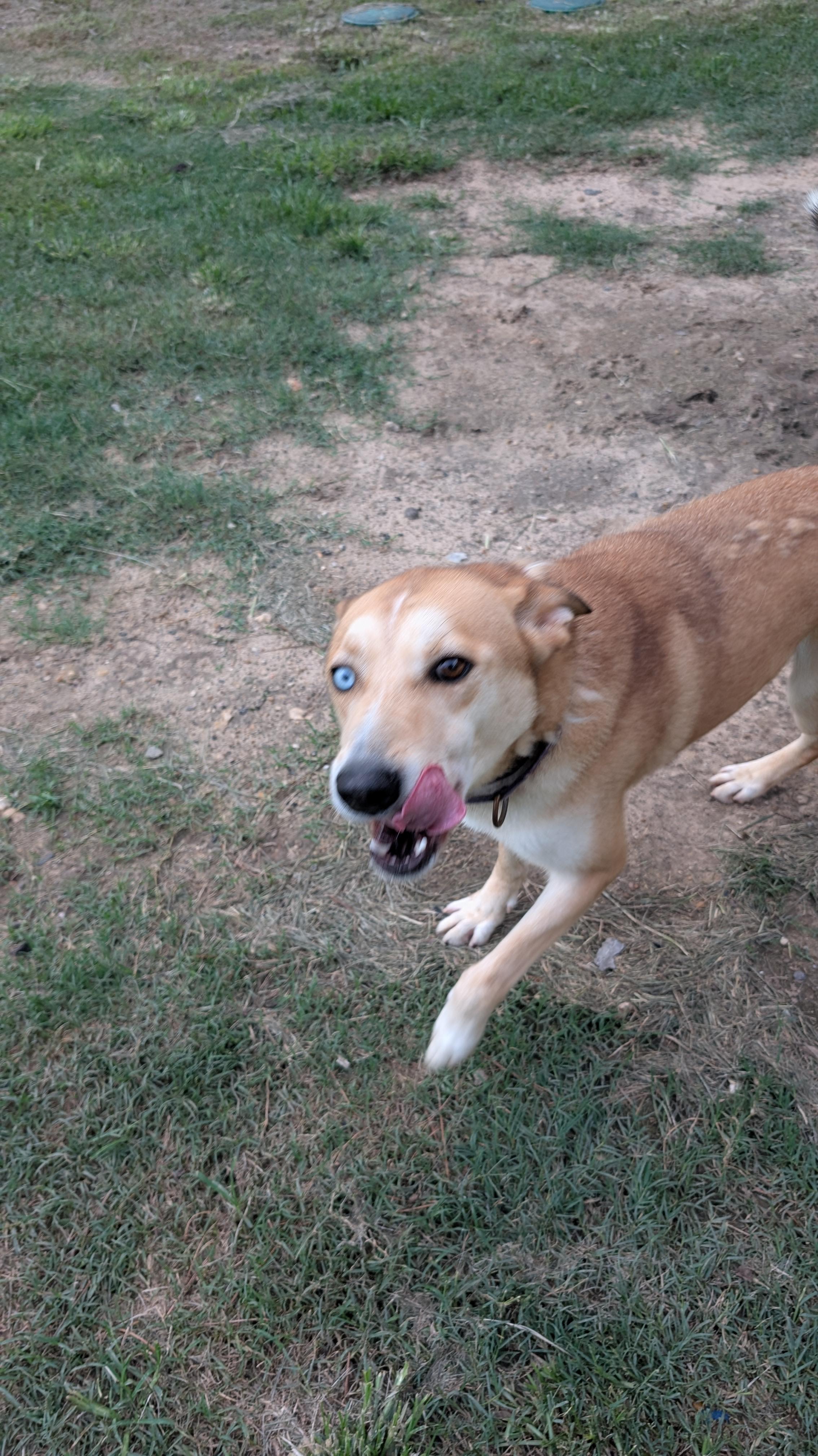 Gunner photo 2