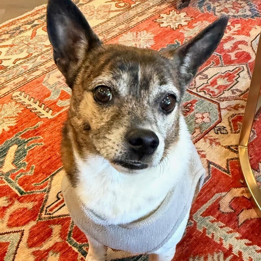 Gimlet fka Snaggle Tooth — thumbnail 3