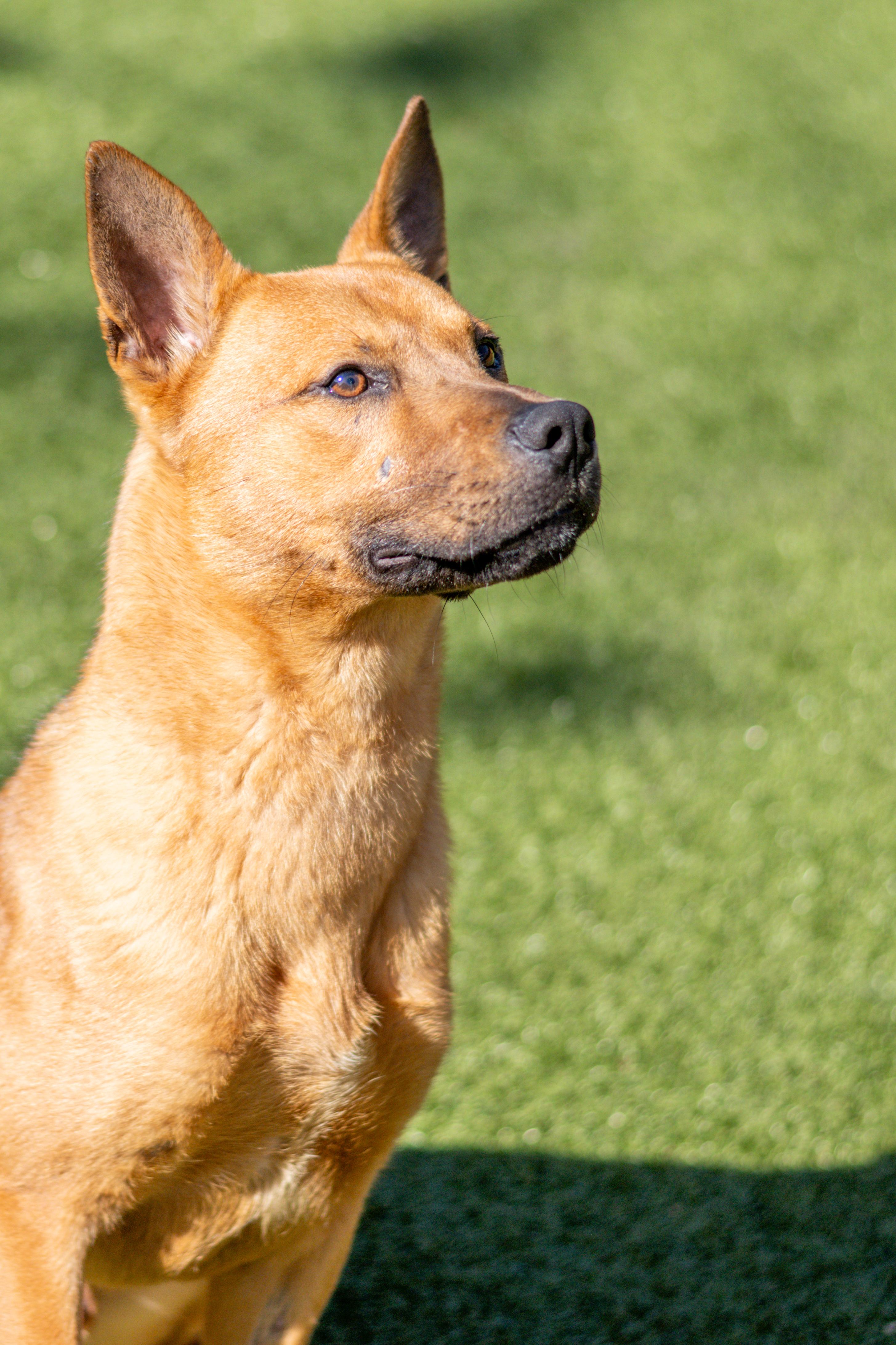 Cohen — thumbnail 2