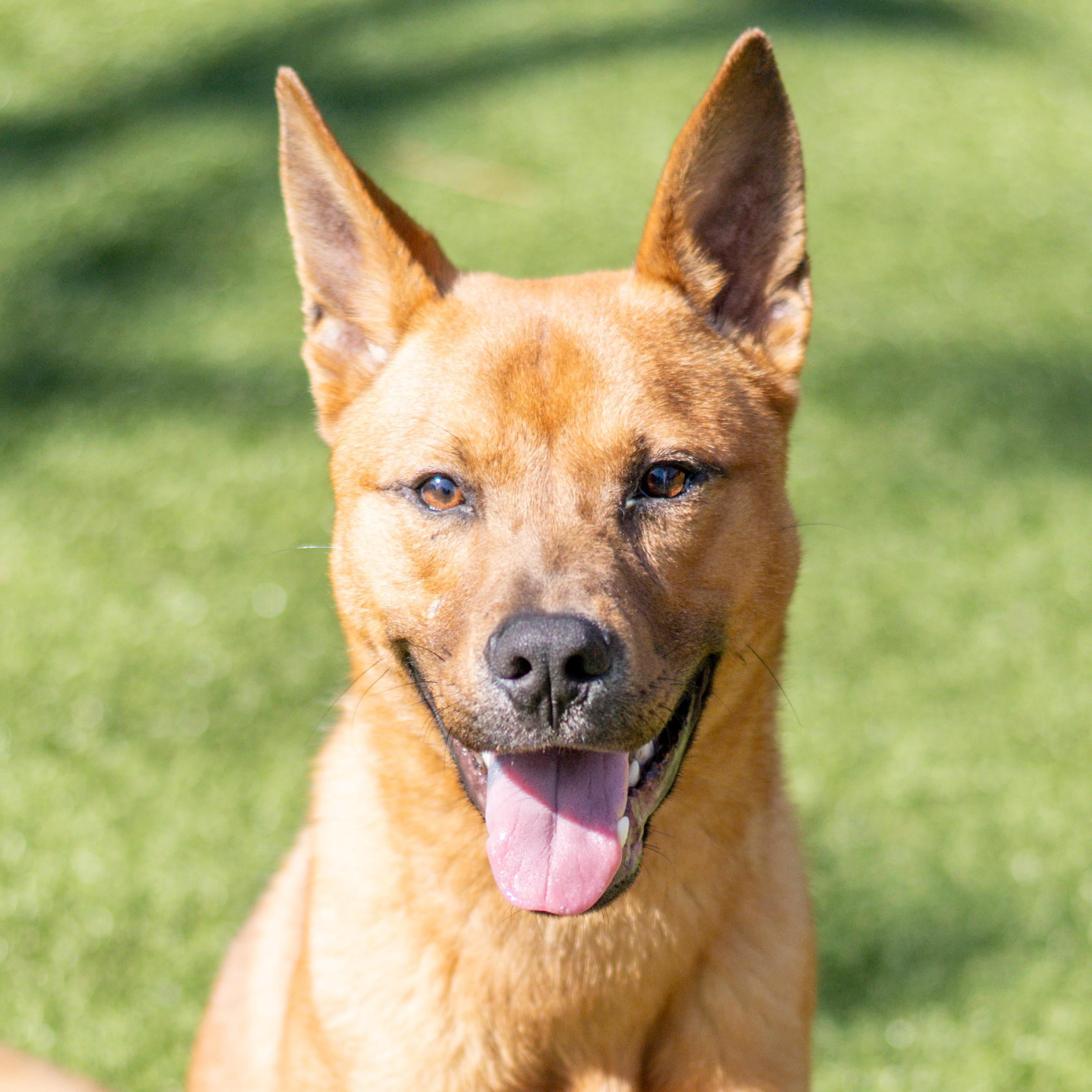 Cohen — thumbnail 3