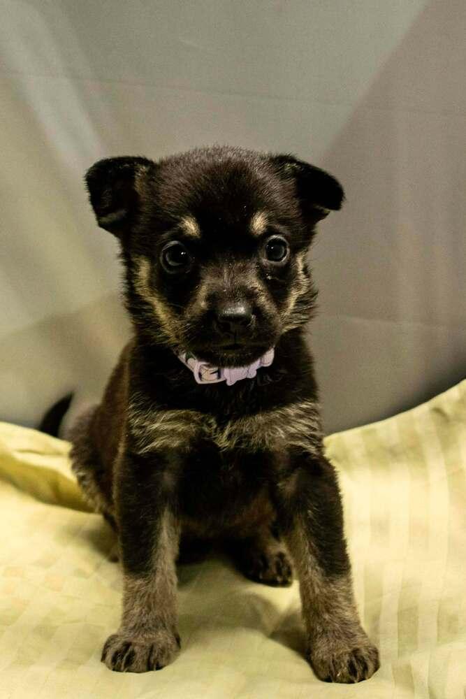 Cali Litter  Carly thumbnail 2