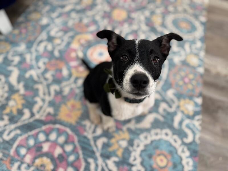 Jaxson happy-go-lucky mcsnugglepants