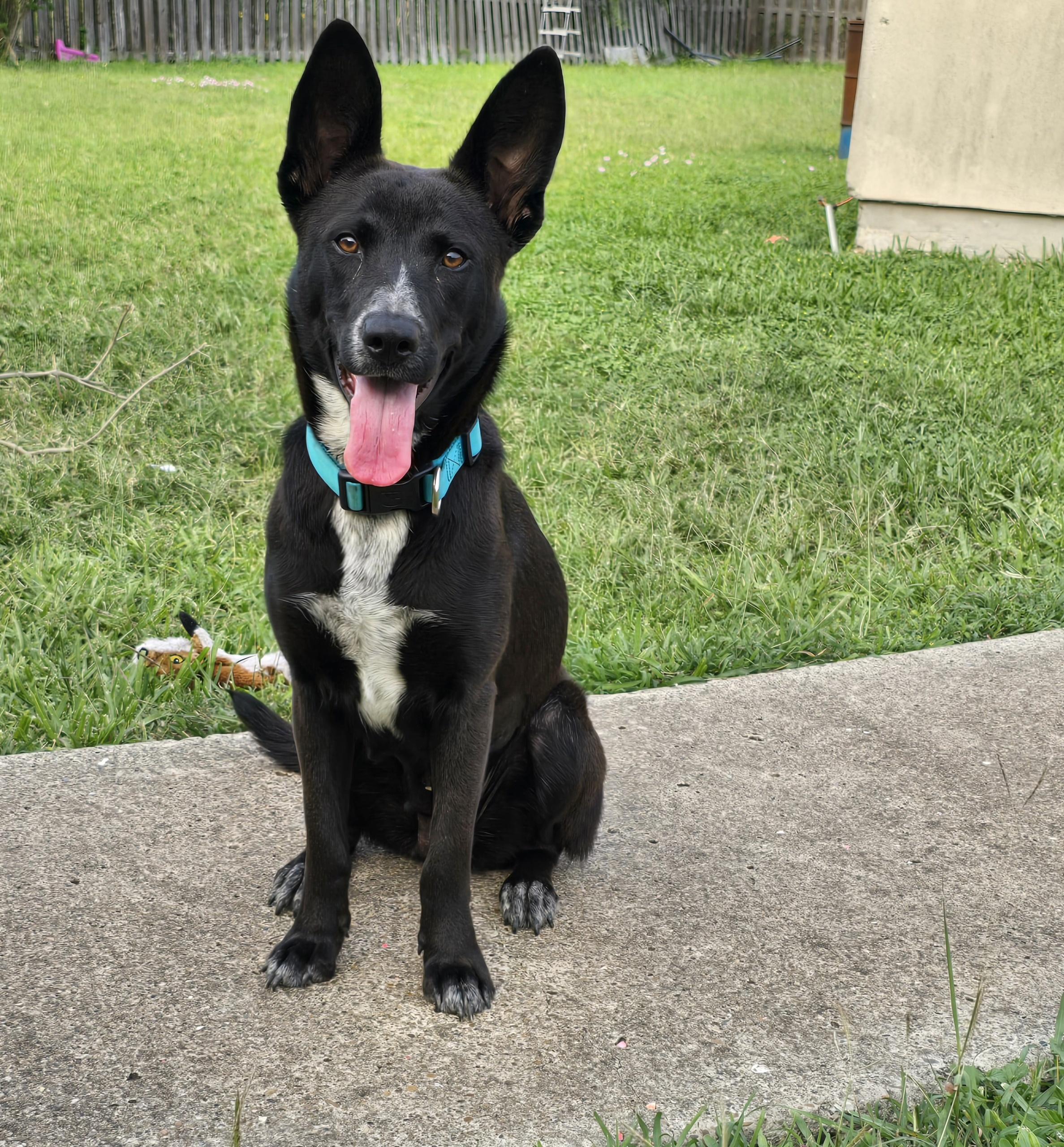 Luna