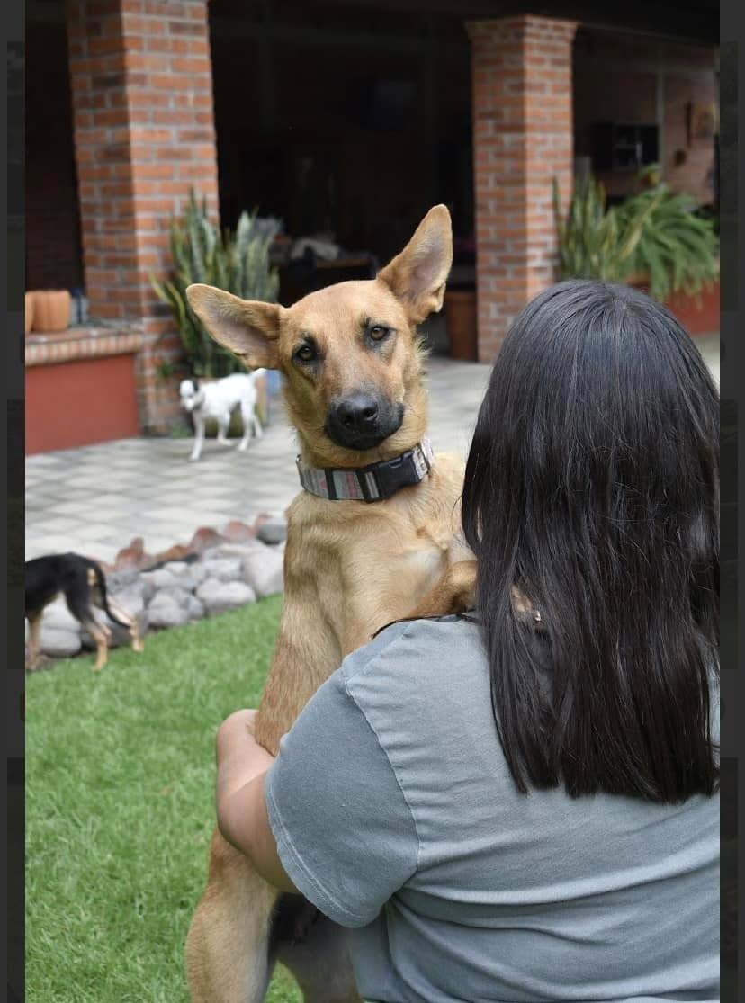 Tapioca (20250116-18) — thumbnail 2