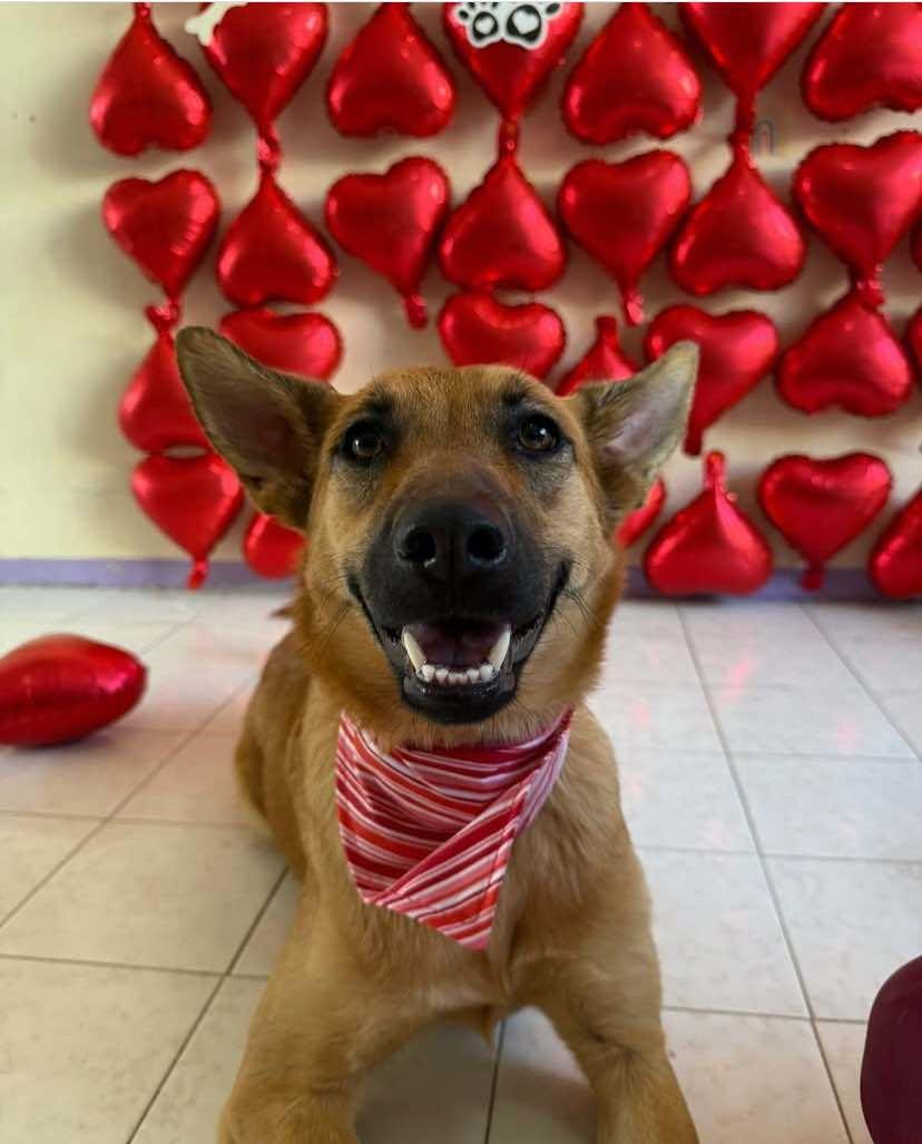 Tapioca (20250116-18) — thumbnail 3