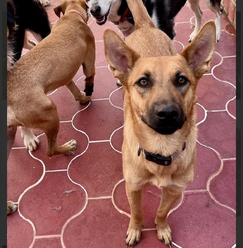 Tapioca (20250116-18) — thumbnail 4