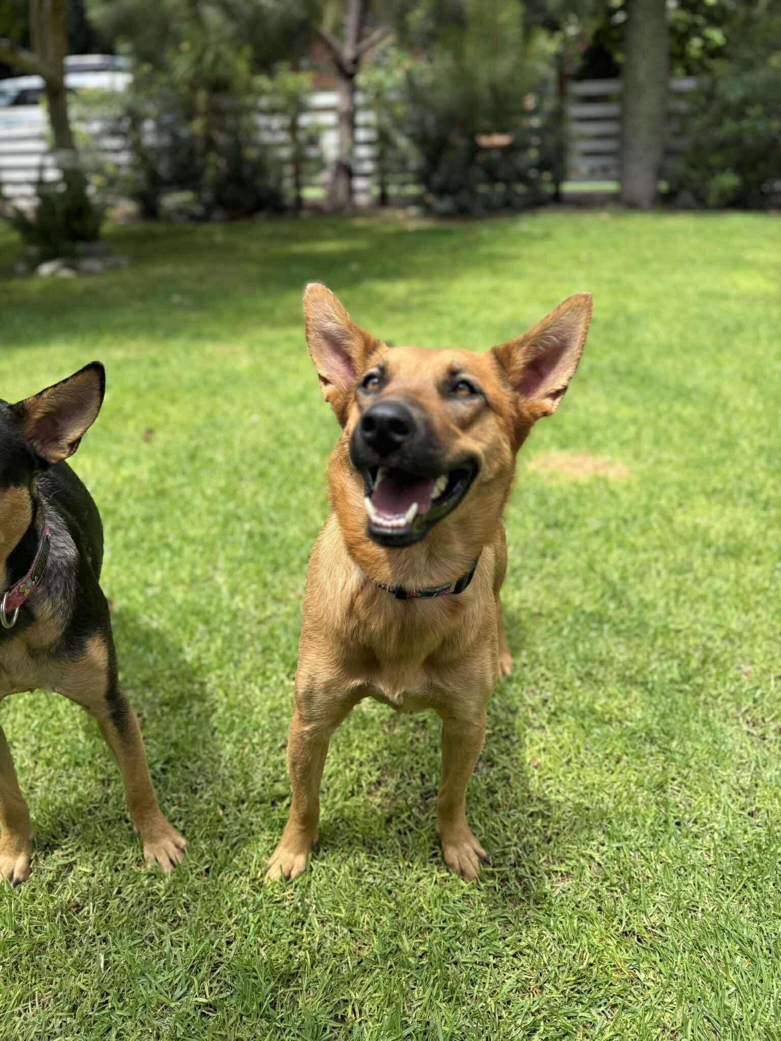 Tapioca (20250116-18) — thumbnail 5