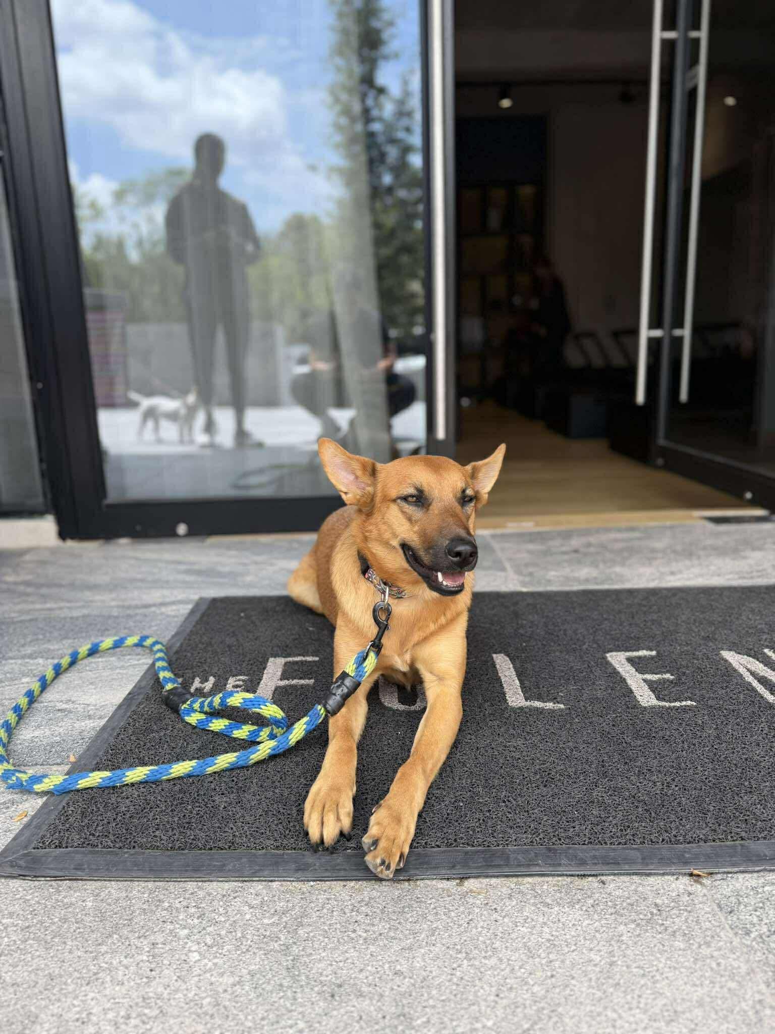 Tapioca (20250116-18) — thumbnail 6