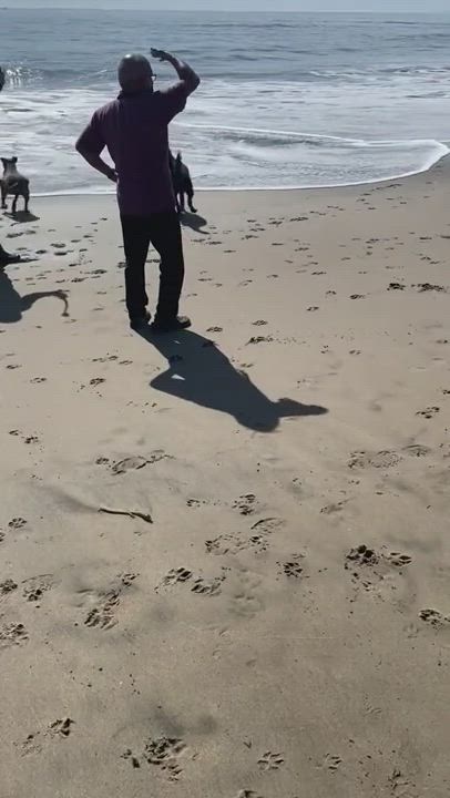 Enlarge Ebby, a Adopted mixed breed in Lakeport, CA video 5/5