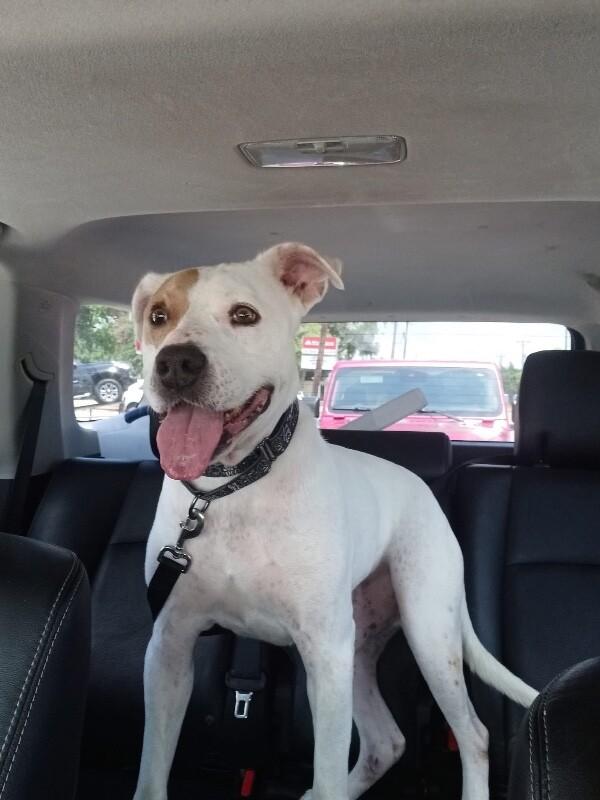 Cyrus Cuddles the Easy Breezy Love Bug — thumbnail 3