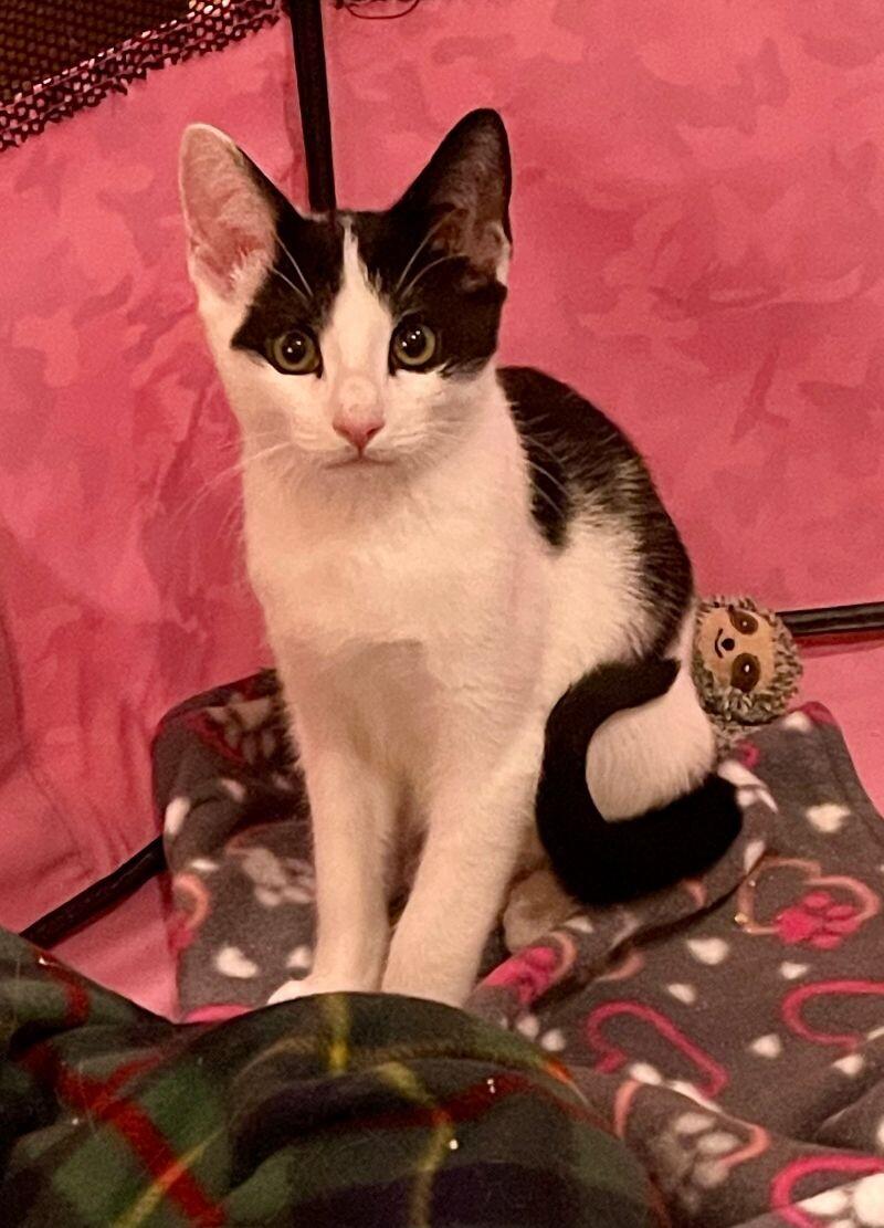 Leroy — thumbnail 2