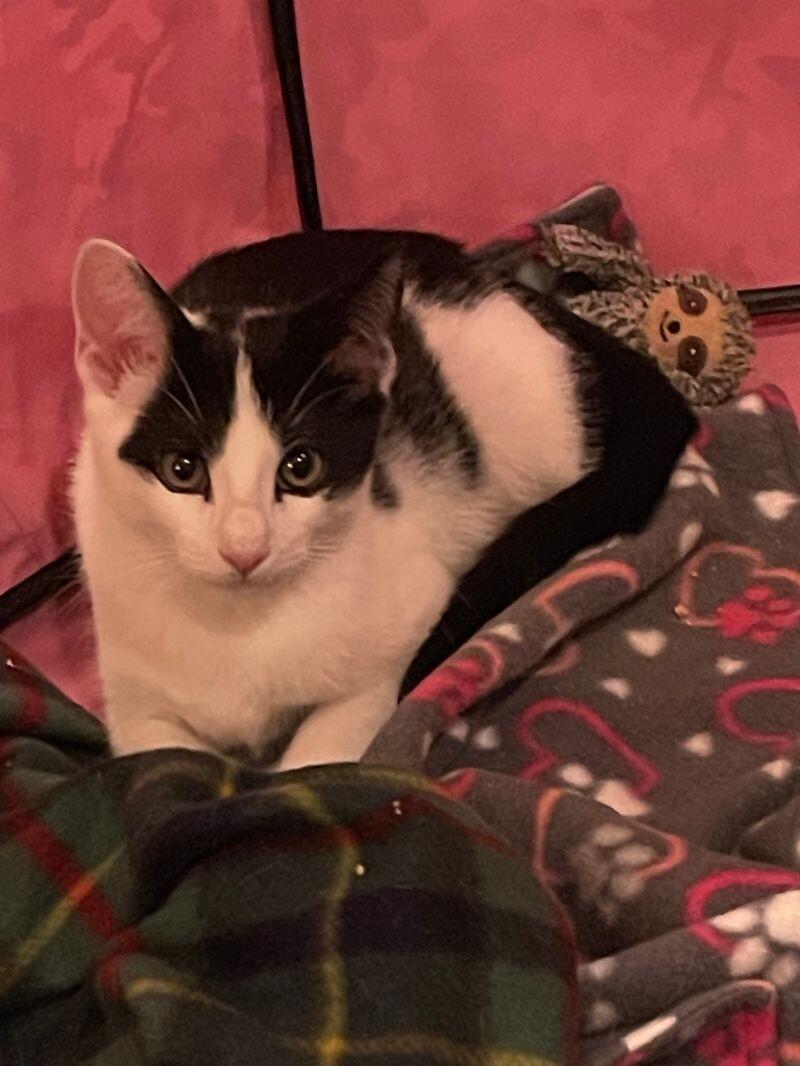 Leroy — thumbnail 3