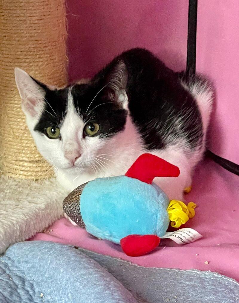 Leroy — thumbnail 4