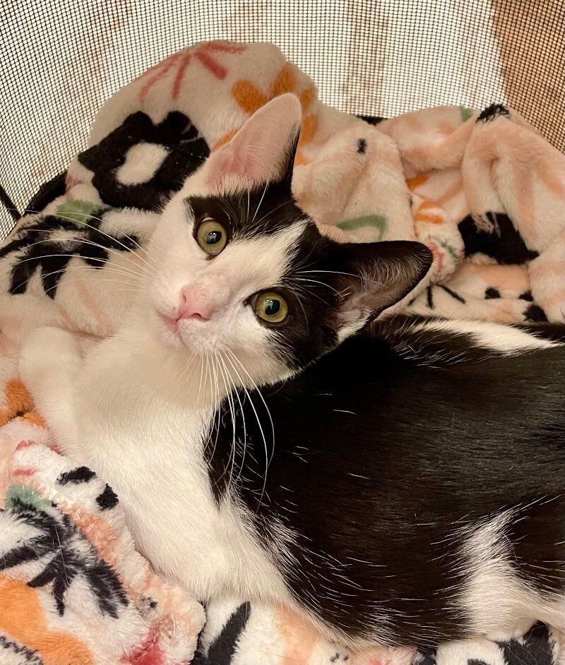 Leroy — thumbnail 5