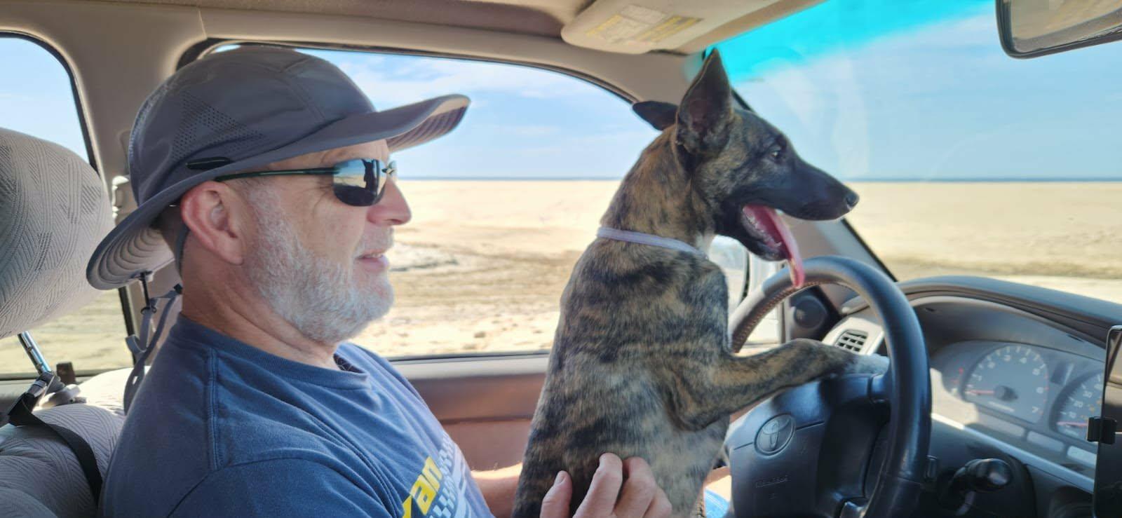 Peanut , a ADOPTABLE mixed breed in Shoreline, WA image 3/6