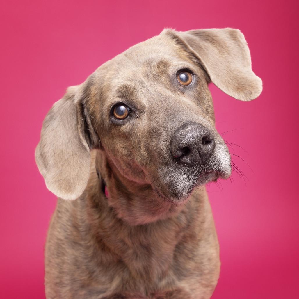 Lady — thumbnail 3